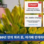 20년 만의 희귀 꽃 아가베 만개하다