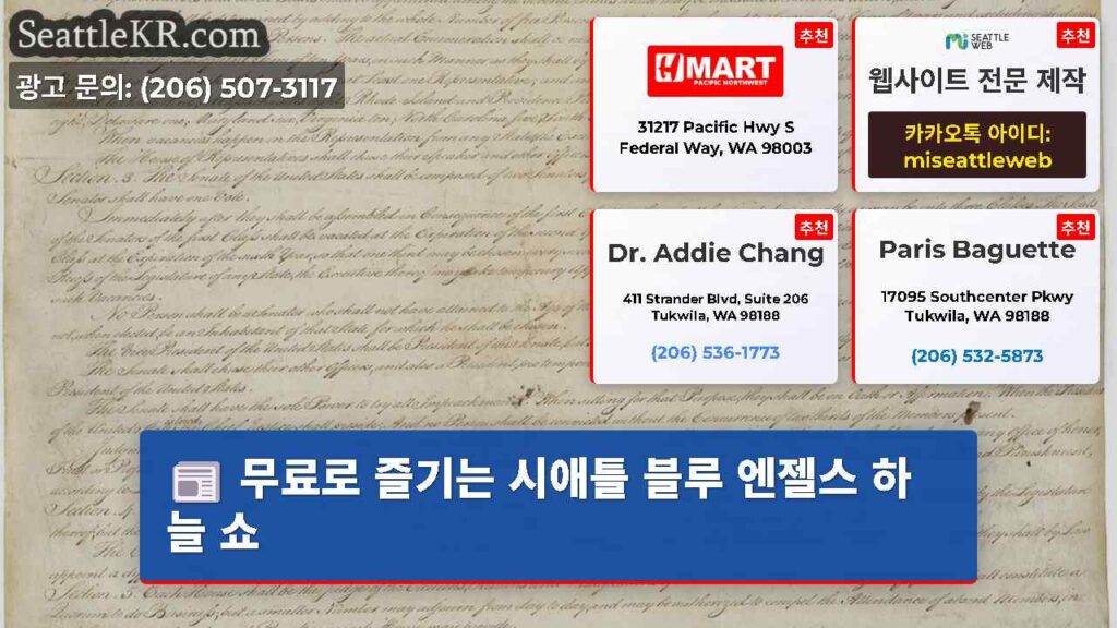 무료로 즐기는 시애틀 블루 엔젤스 하늘 쇼