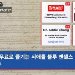 무료로 즐기는 시애틀 블루 엔젤스 하늘 쇼