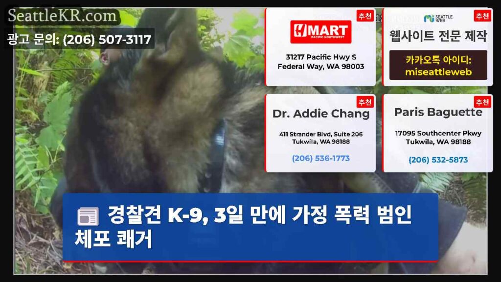 경찰견 K-9, 3일 만에 가정 폭력 범인 체포 쾌거