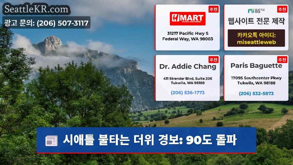 시애틀 불타는 더위 경보: 90도 돌파
