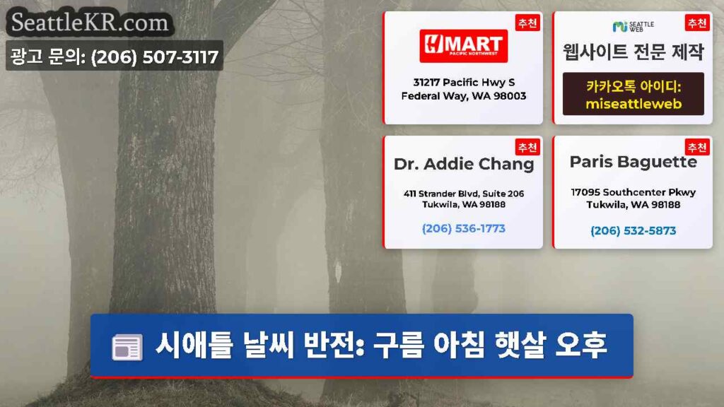 시애틀 날씨 반전: 구름 아침 햇살 오후
