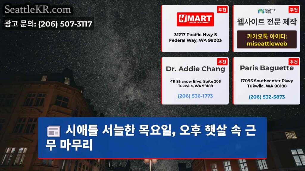 시애틀 서늘한 목요일, 오후 햇살 속 근무 마무리