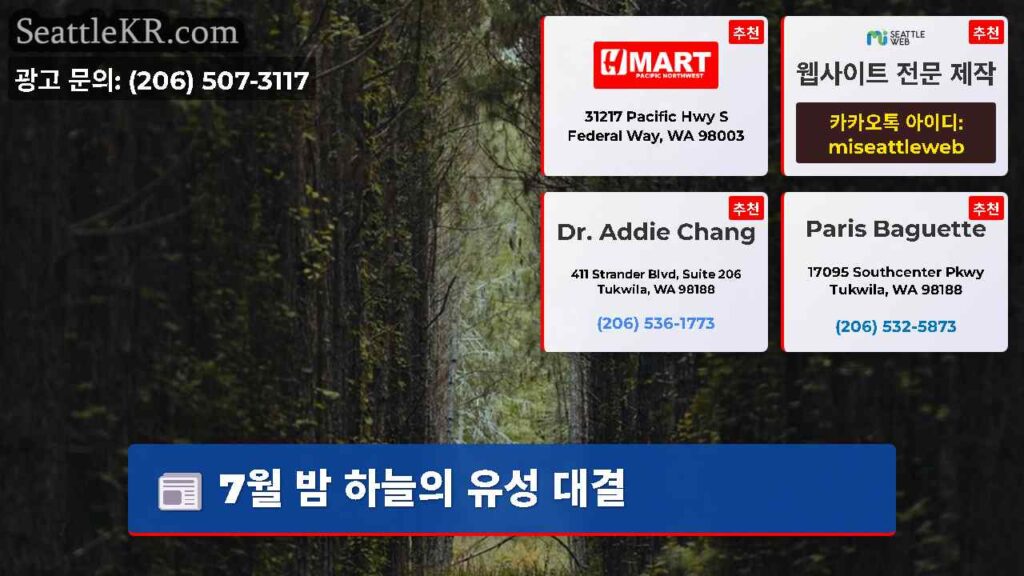7월 밤 하늘의 유성 대결