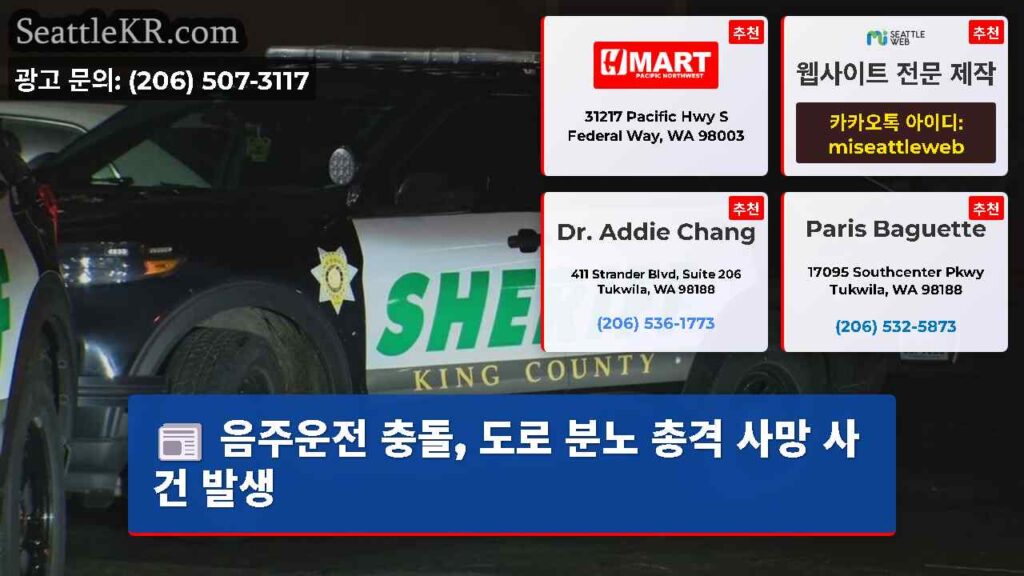음주운전 충돌, 도로 분노 총격 사망 사건 발생