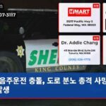 음주운전 충돌 도로 분노 총격 사망 사건 발생