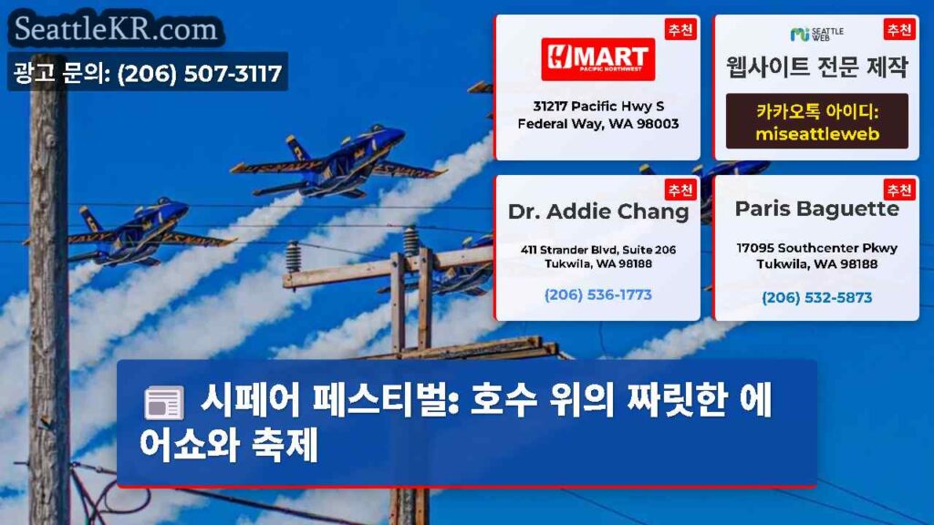 시페어 페스티벌: 호수 위의 짜릿한 에어쇼와 축제