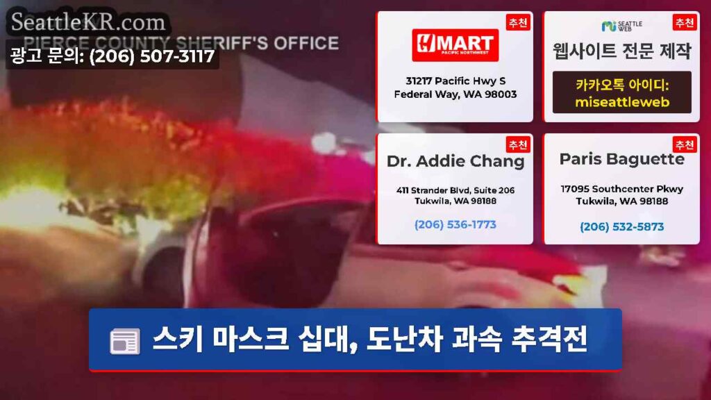 스키 마스크 십대, 도난차 과속 추격전