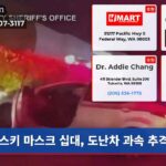 스키 마스크 십대 도난차 과속 추격전