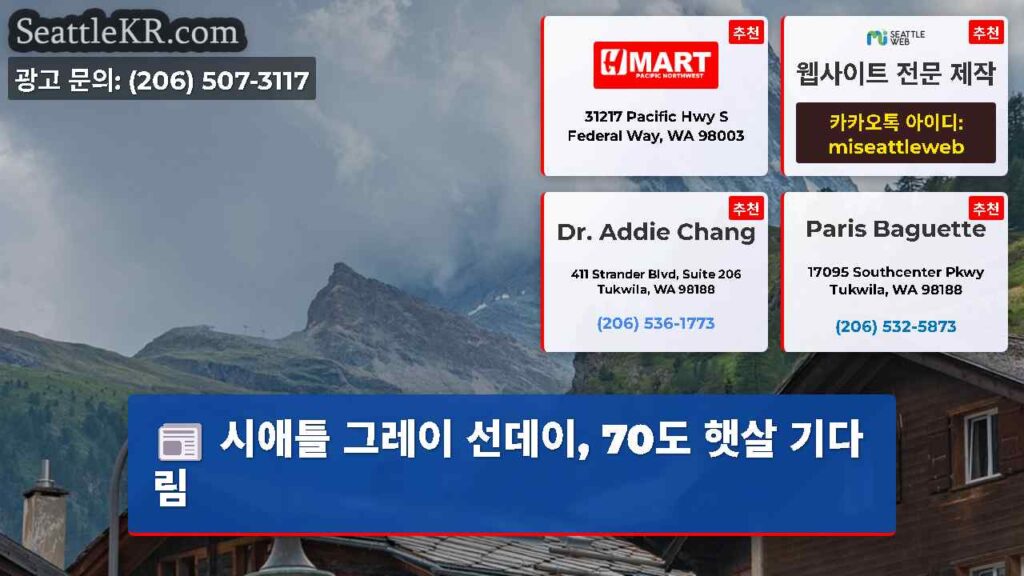 시애틀 그레이 선데이, 70도 햇살 기다림