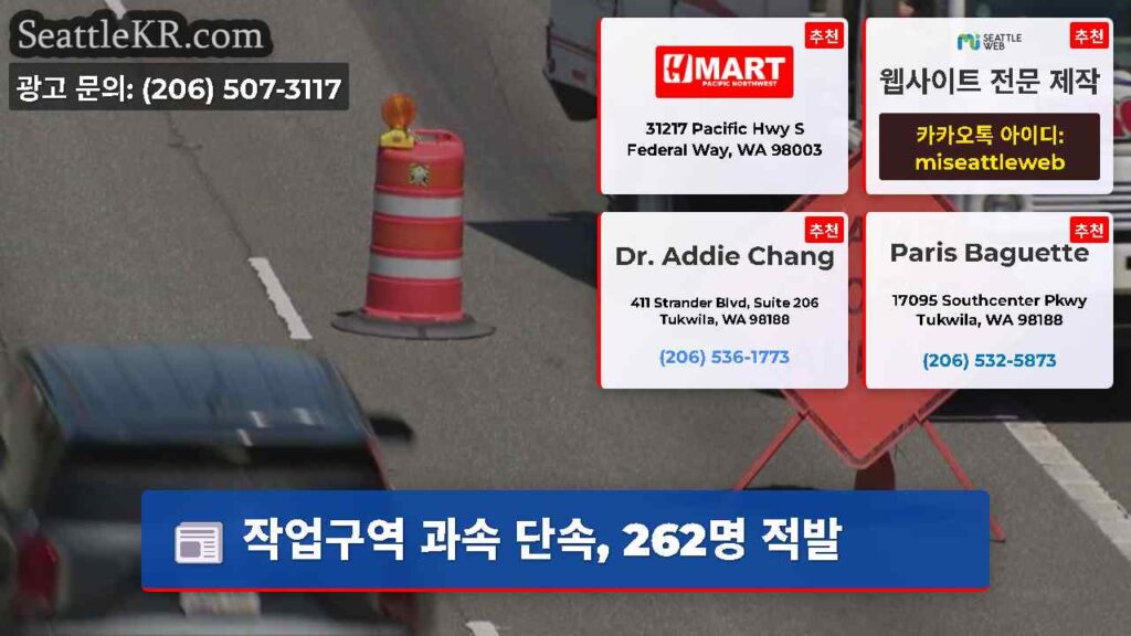 작업구역 과속 단속, 262명 적발