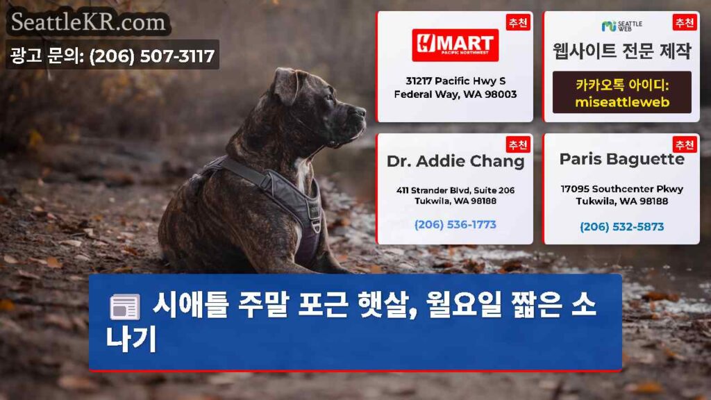 시애틀 주말 포근 햇살, 월요일 짧은 소나기