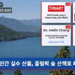 인간 실수 산불 올림픽 숲 산책로 폐쇄