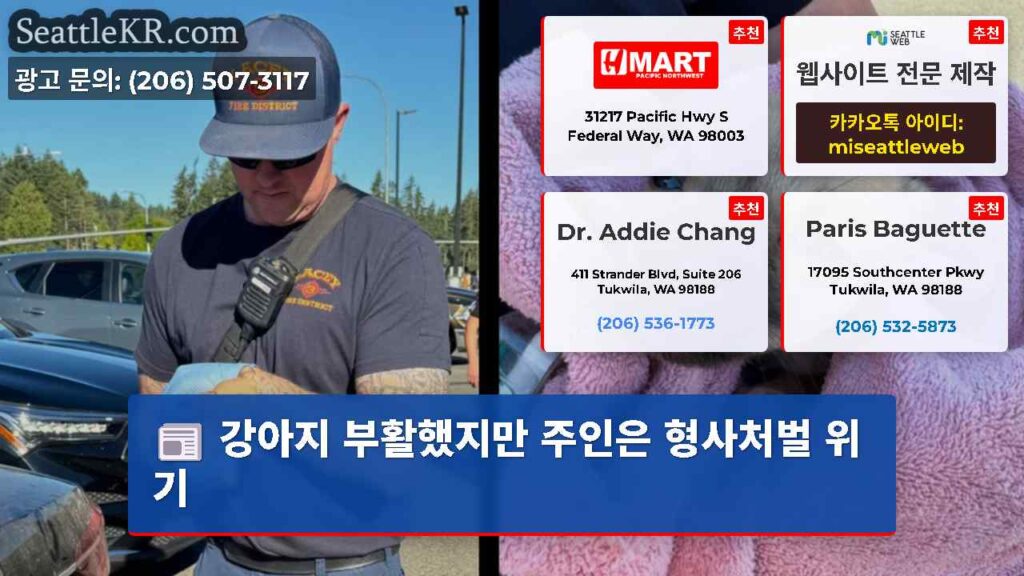 강아지 부활했지만 주인은 형사처벌 위기
