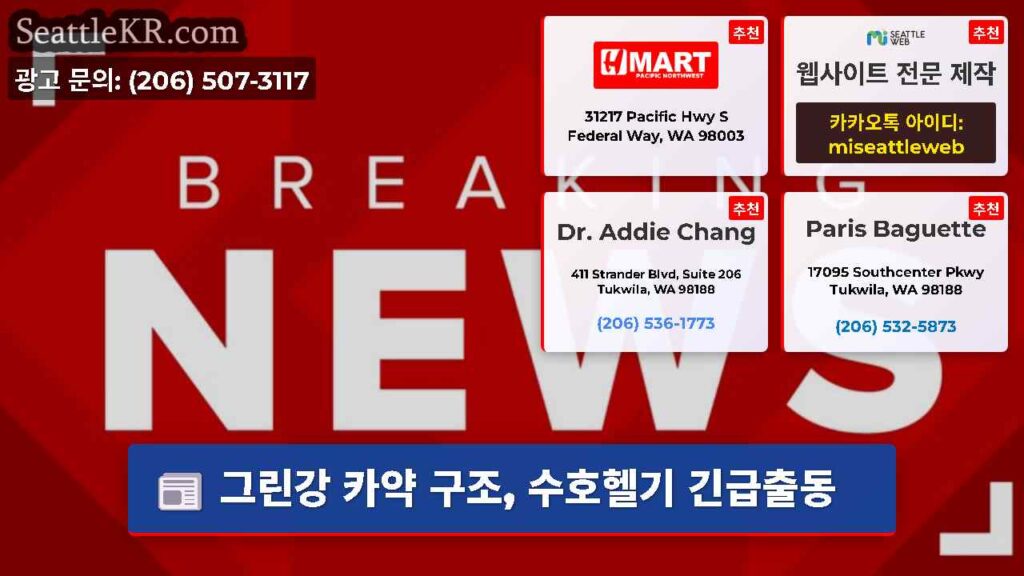 Home 3 그린강 카약 구조, 수호헬기 긴급출동