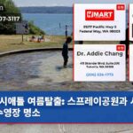 시애틀 여름탈출 스프레이공원과 시원한 수영장 명소