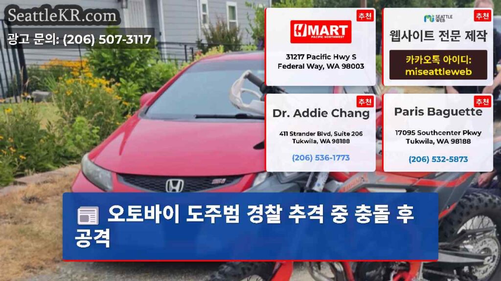 오토바이 도주범 경찰 추격 중 충돌 후 공격