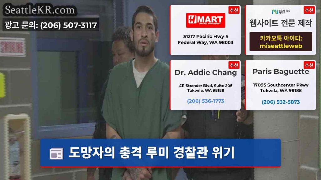 도망자의 총격 루미 경찰관 위기