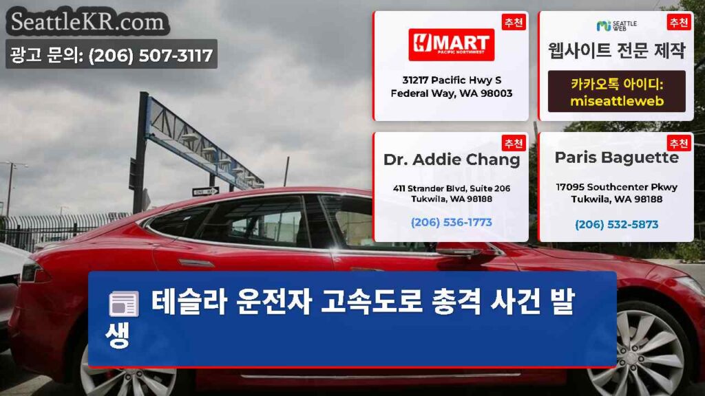 테슬라 운전자 고속도로 총격 사건 발생