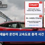 테슬라 운전자 고속도로 총격 사건 발생