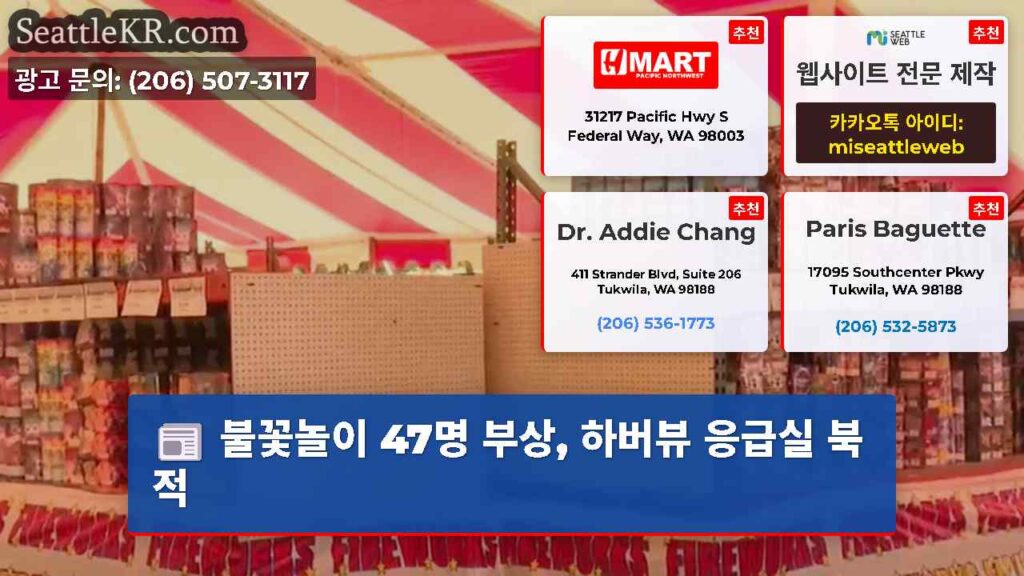 불꽃놀이 47명 부상, 하버뷰 응급실 북적