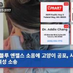 블루 엔젤스 소음에 고양이 공포 시애틀 여성 소송