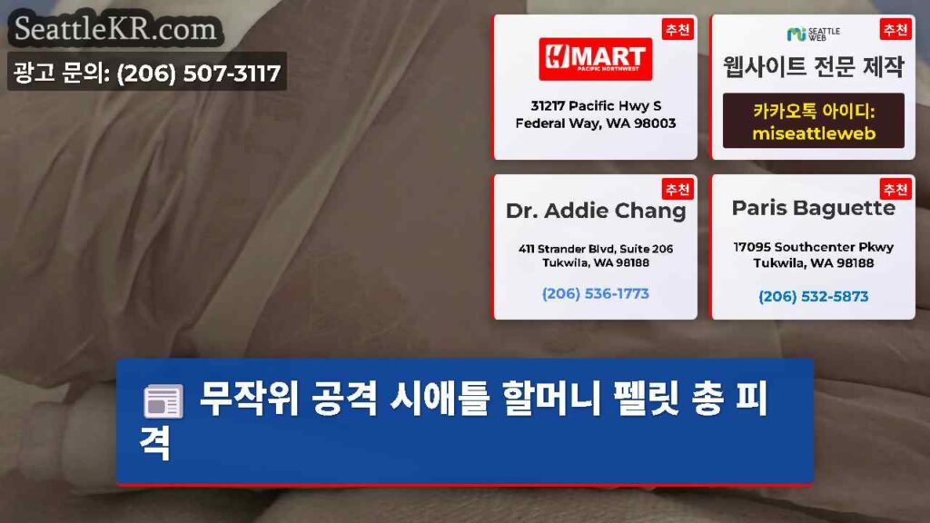 무작위 공격 시애틀 할머니 펠릿 총 피격
