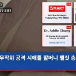 무작위 공격 시애틀 할머니 펠릿 총 피격