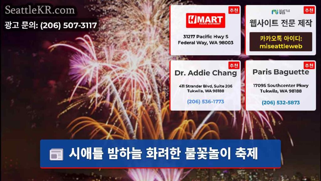 시애틀 밤하늘 화려한 불꽃놀이 축제