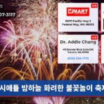 시애틀 밤하늘 화려한 불꽃놀이 축제