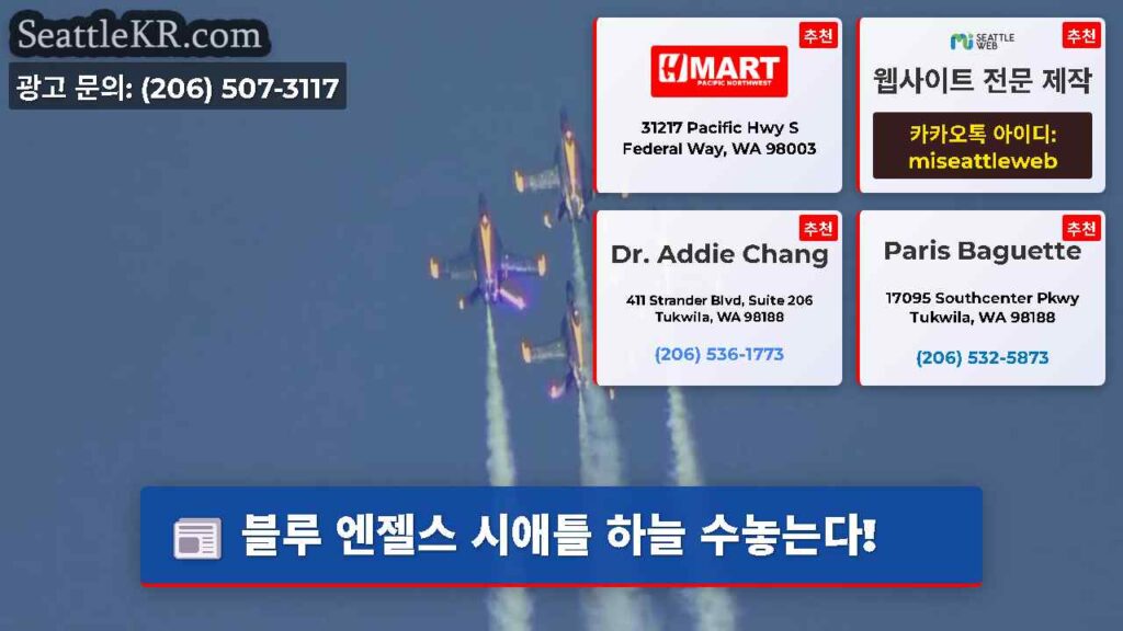 블루 엔젤스 시애틀 하늘 수놓는다!