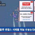 블루 엔젤스 시애틀 하늘 수놓는다!