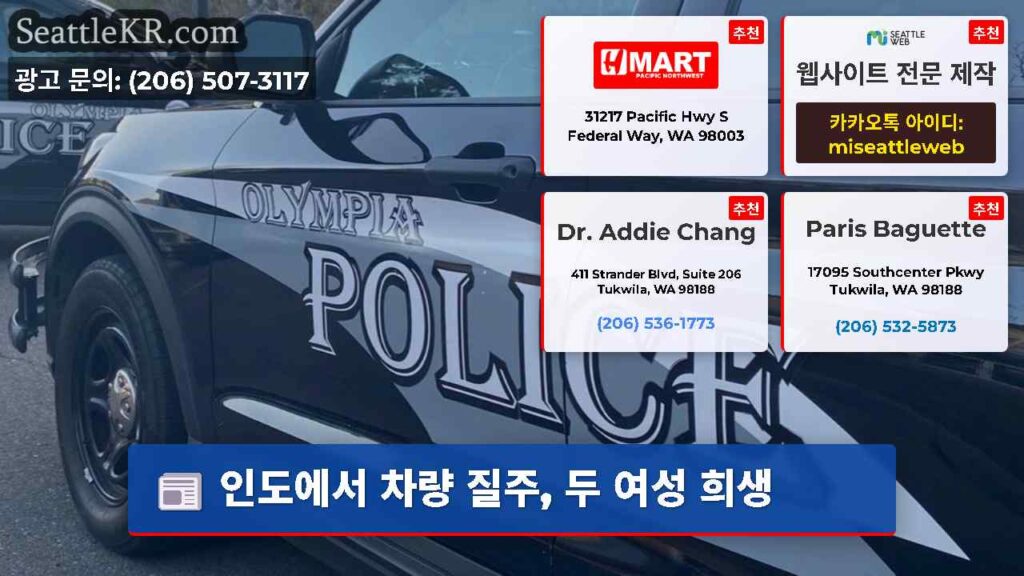 인도에서 차량 질주, 두 여성 희생