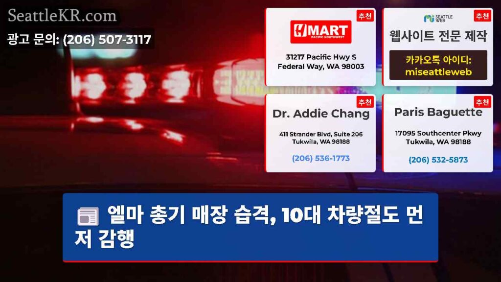엘마 총기 매장 습격, 10대 차량절도 먼저 감행