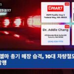 엘마 총기 매장 습격 10대 차량절도 먼저 감행