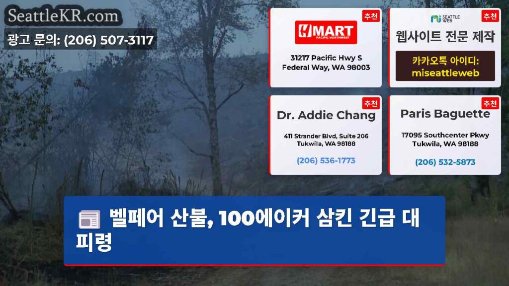 벨페어 산불, 100에이커 삼킨 긴급 대피령