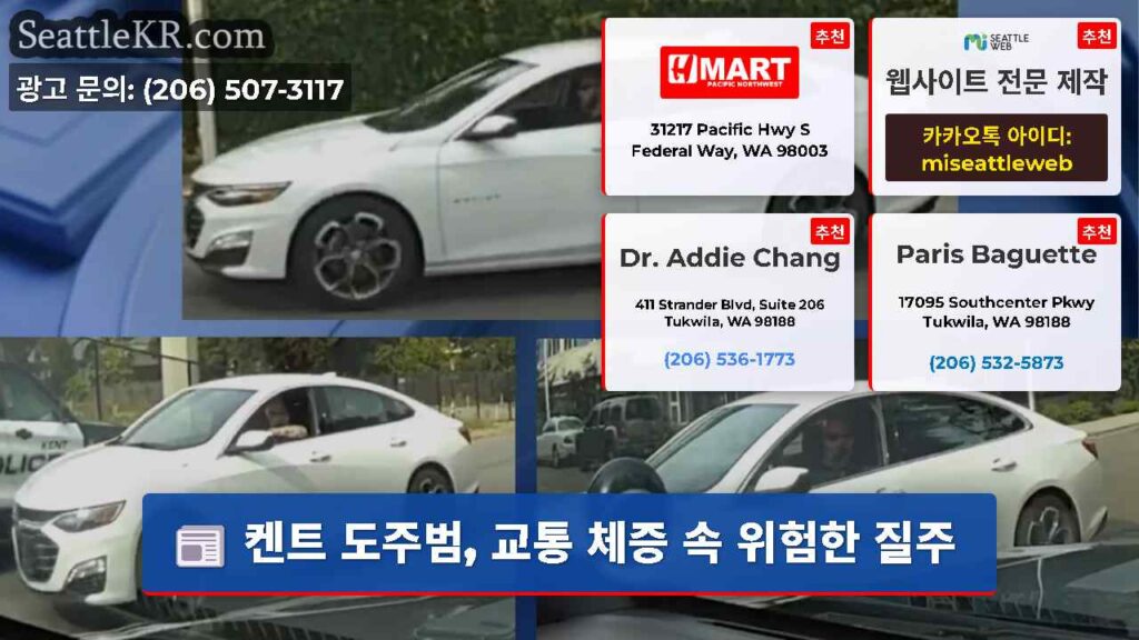 켄트 도주범, 교통 체증 속 위험한 질주