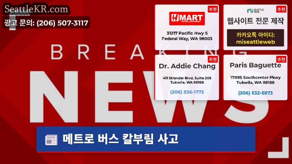 메트로 버스 칼부림 사고