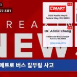 메트로 버스 칼부림 사고