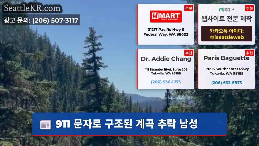 911 문자로 구조된 계곡 추락 남성