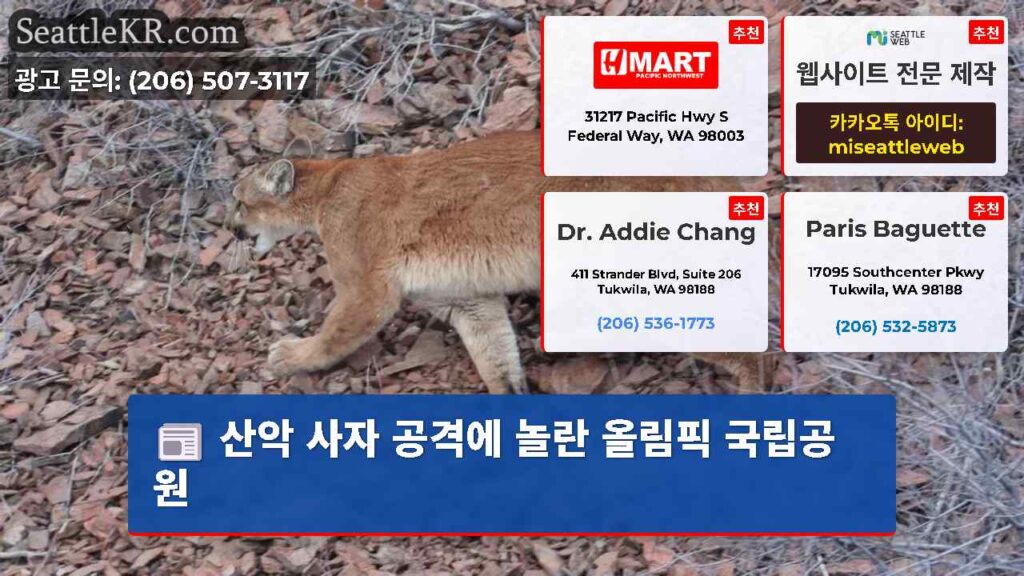 산악 사자 공격에 놀란 올림픽 국립공원