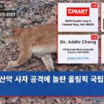 산악 사자 공격에 놀란 올림픽 국립공원