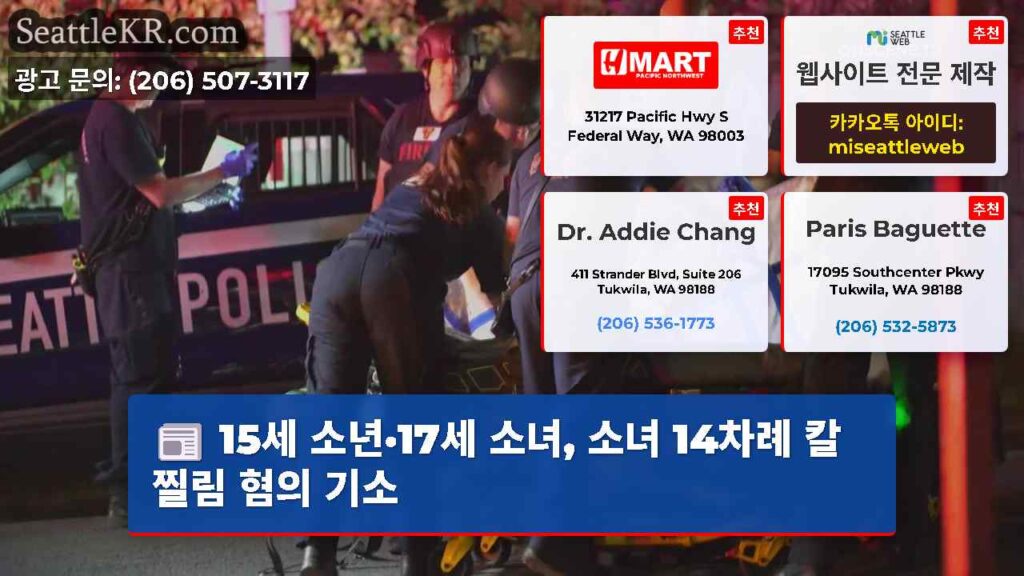 15세 소년·17세 소녀, 소녀 14차례 칼찔림 혐의 기소