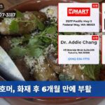 호머 화재 후 6개월 만에 부활