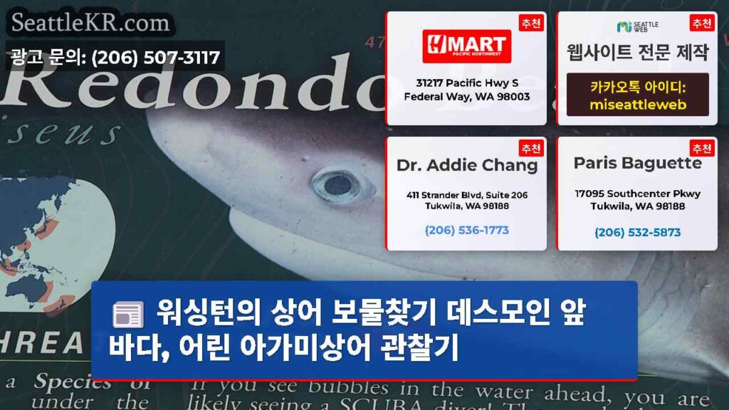 워싱턴의 상어 보물찾기 데스모인 앞 바다, 어린 아가미상어 관찰기