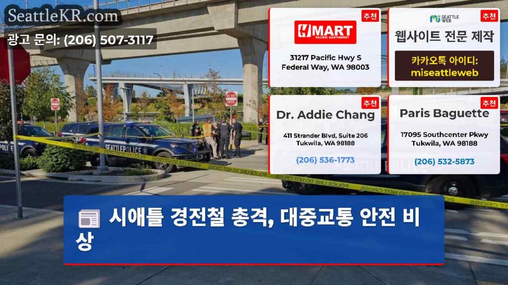 시애틀 경전철 총격, 대중교통 안전 비상