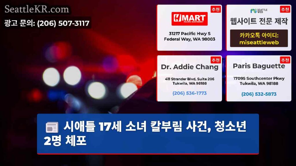 시애틀 17세 소녀 칼부림 사건, 청소년 2명 체포