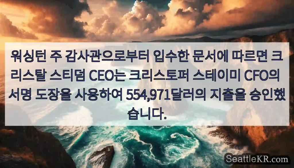 워싱턴 주 감사관으로부터 입수한 문서에 따르면 크리스탈 스티덤 CEO는 크리스토퍼