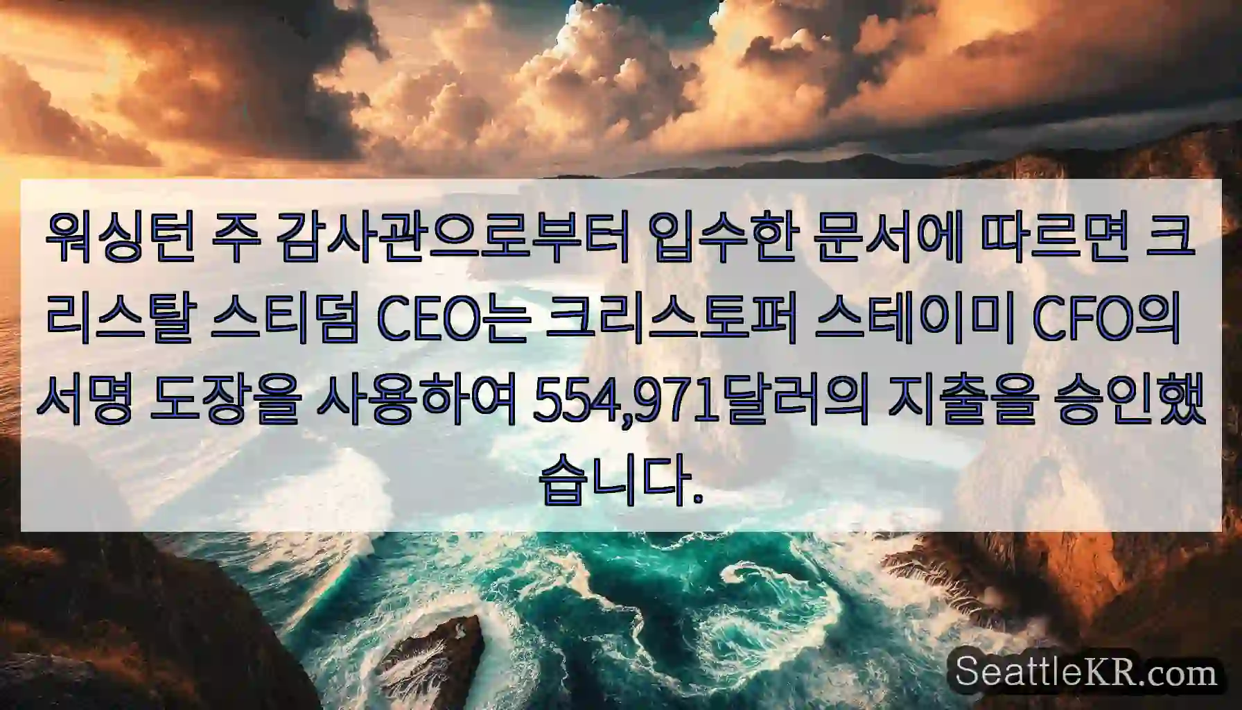 워싱턴 주 감사관으로부터 입수한 문서에 따르면 크리스탈 스티덤 CEO는 크리스토퍼