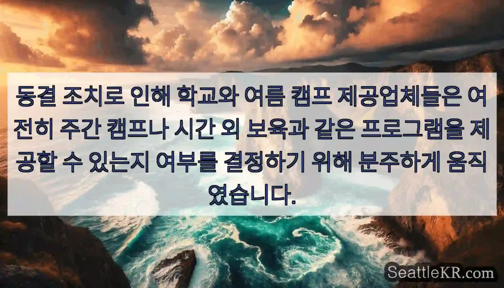 동결 조치로 인해 학교와 여름 캠프 제공업체들은 여전히 주간 캠프나 시간 외 보육과 같은